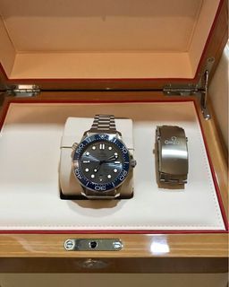 Omega Seamaster Pro 2020 Silver dial (mint)