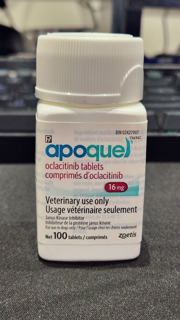 PRE ORDER Apoquel 16mg Full Bottle