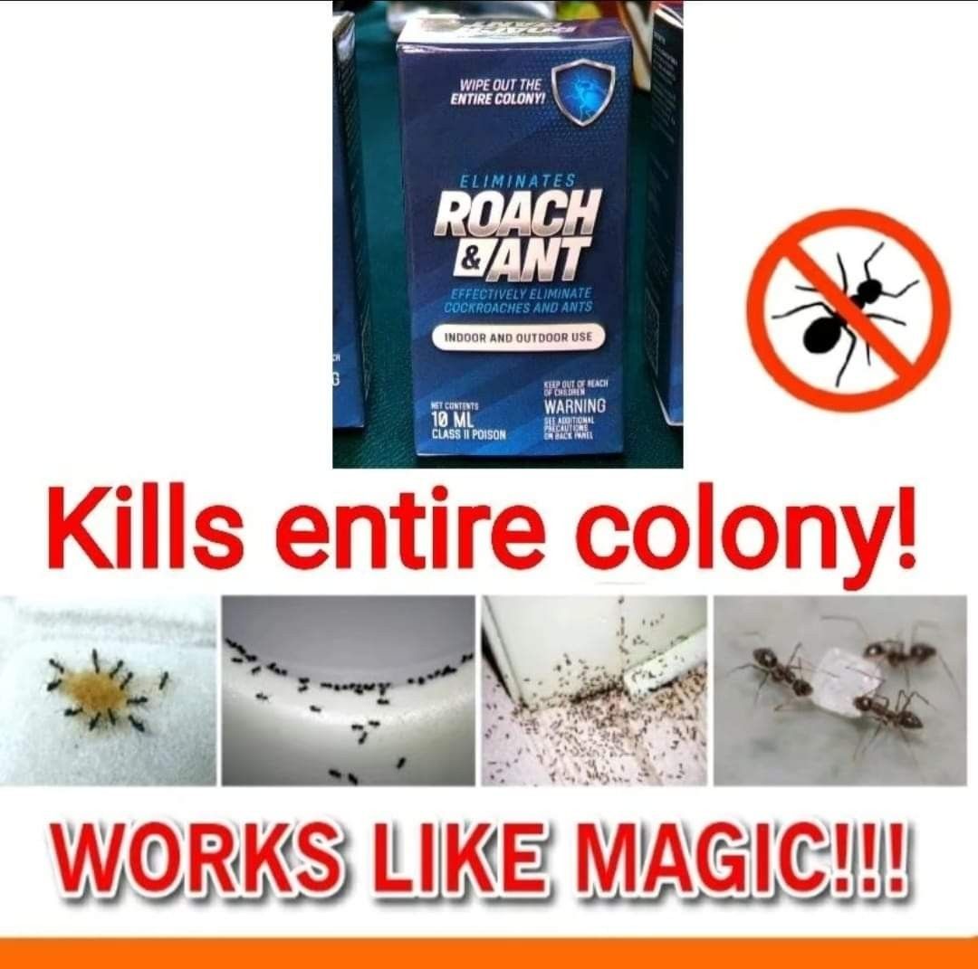 Roach and Ant Killer, Furniture & Home Living, Cleaning & Homecare  Supplies, Pest Control Supplies on Carousell