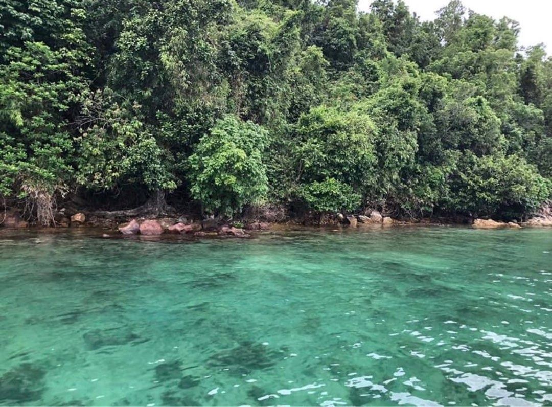 Palawan Island for sale (Category: Lot) located in Las Pinas. Submitted by mccm22 (Listing ID 1311114341, Image 2). Description: Private Island For Sale Pangcol, Taytay Palawan Tax Dec Land Size: Around 42 Hectares Unmolested island Has a lot of rare plants and trees (specially rich in Narra and Mahogany trees) Family Owned The distance from Taytay City proper is 15 kilometer that would take a 15 minutes SPEEDBOAT ride or 45-minutes for PUMPBOAT 
