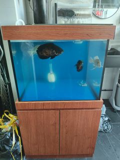 (Category: ) located in . Submitted by shankz08 (Listing ID 1311253485, Image 1). Description: .