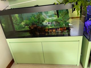 (Category: ) located in . Submitted by sallysg0065 (Listing ID 1311260940, Image 1). Description: .