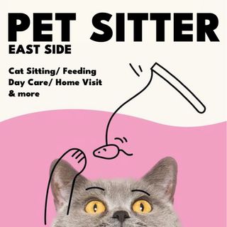 (Category: ) located in . Submitted by lycheepeng (Listing ID 1311218704, Image 1). Description: .
