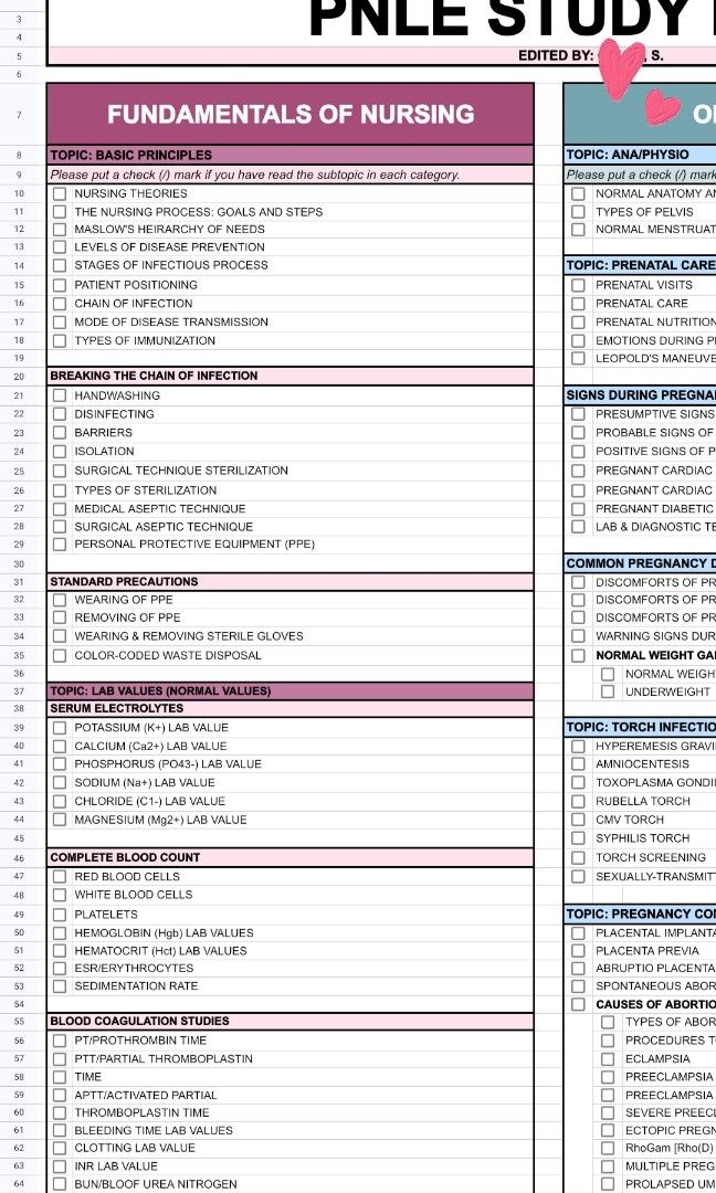 PNLE STUDYPLAN 2024, Hobbies & Toys, Books & Magazines, Textbooks on