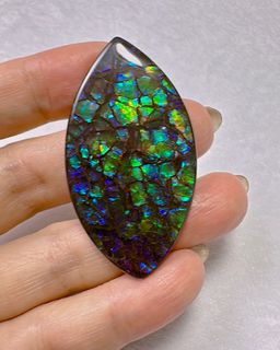 Canada đ¨đŚ High-Quality Ammonite Raw Stone with Dragon Pattern64224129042945110