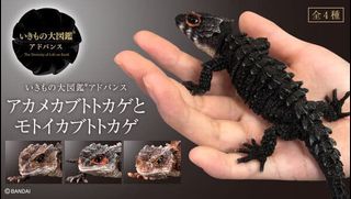 （分類：）位於 。 由 rayrayebay 提交（商品編號 1310023433，圖片 1）。簡介： 。
