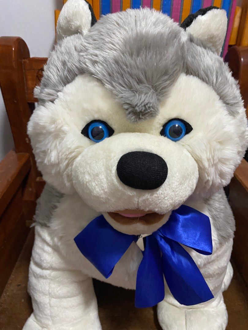 Blue Magic Husky Bear (Category: Plushies & Soft Toys) located in Malabon City. Submitted by black.cat. (Listing ID 1311454993, Image 2). Description: Big sitting husky Like new and no issue Bought from blue magic Payment via Gcash Shipping via lalamove and J&T Express.