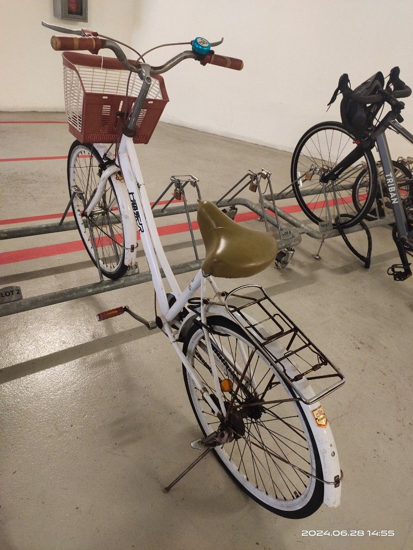 Ladies cycle Sports Equipment Bicycles Parts Bicycles on Carousell
