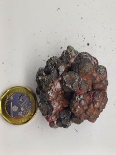 (Category: ) located in . Submitted by thrifttrash (Listing ID 1311392024, Image 1). Description: .