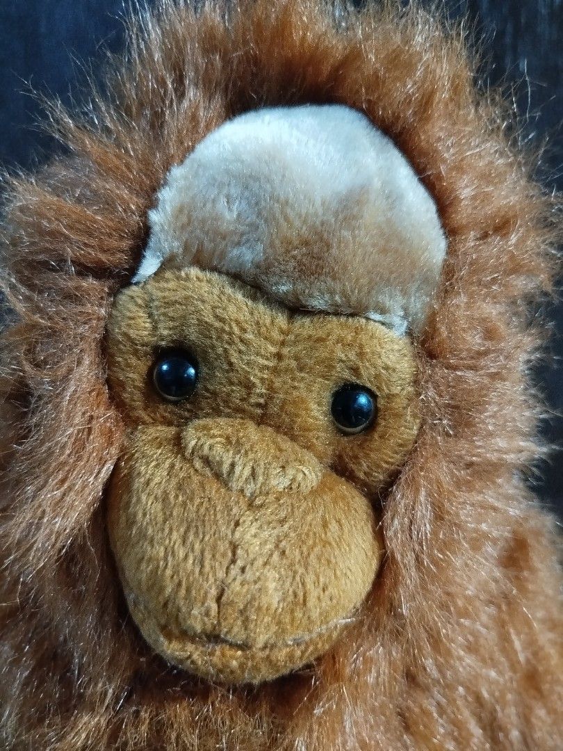 VERY BEAUTIFUL LARGE SIZE REALISTIC ORANGUTAN MONKEY BY ARK TOYS PREMIER COLLECTION UK Hobbies Toys Toys Games on Carousell