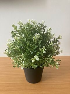 IKEA FEJKA Artificial potted plant, thyme,