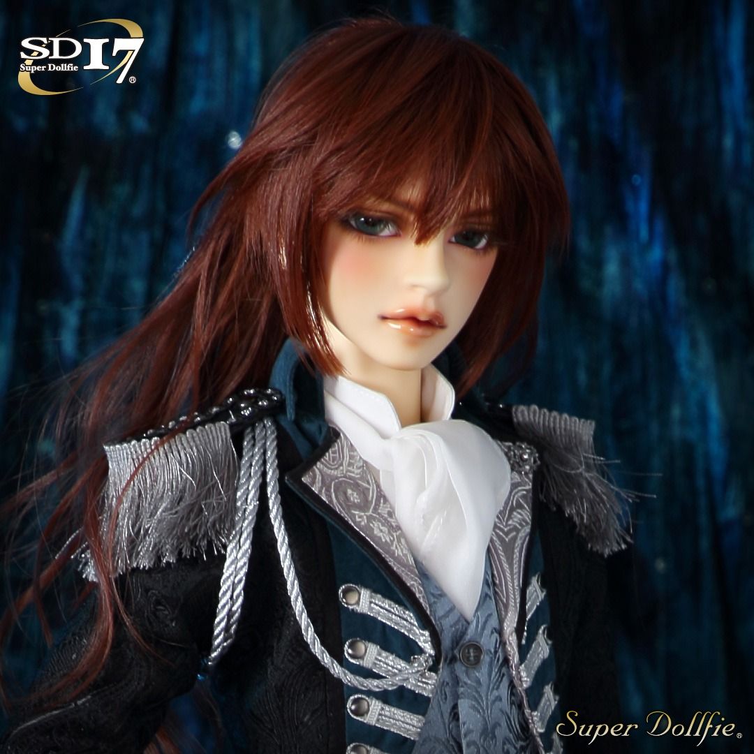 Volks sd17 store