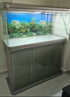 (Category: ) located in . Submitted by meisales (Listing ID 1311602283, Image 1). Description: .