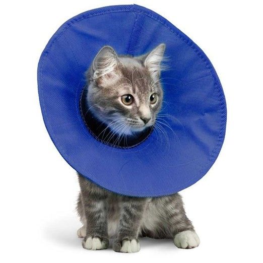 Kong recovery collar clearance