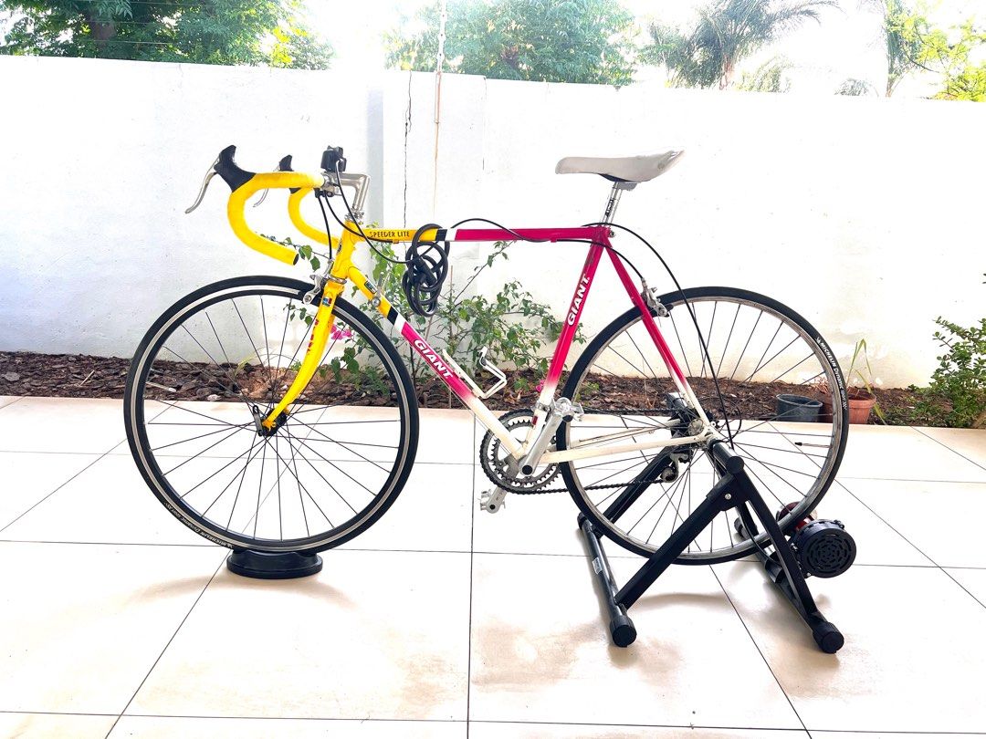 VINTAGE GIANT ROAD BIKE