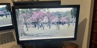 (Category: ) located in . Submitted by anjirin_c (Listing ID 1306992395, Image 1). Description: .