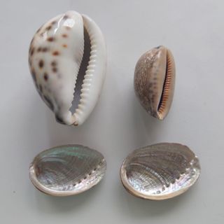 （分類：）位於 。 由 Yu_chan09 提交（商品編號 1306920930，圖片 1）。簡介： 。