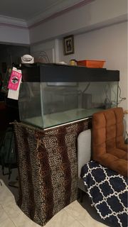 (Category: ) located in . Submitted by basics_taken (Listing ID 1307041066, Image 1). Description: .