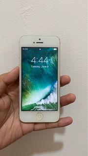 (Kategori: ) berada di . Dikirim oleh sunnyluckyday_13 (ID iklan 1306975734, Gambar 1). Deskripsi: .