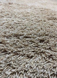 Shaggy Beige Area Rug Carpet