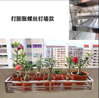 (Category: ) located in . Submitted by c_warehouse (Listing ID 1306915929, Image 1). Description: .