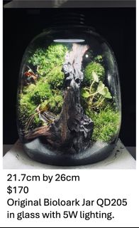 (Category: ) located in . Submitted by edwinchua (Listing ID 1293722682, Image 1). Description: .