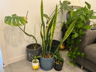 （分類：）位於 。 由 mikeminggao 提交（商品編號 1306902514，圖片 1）。簡介： 。