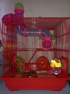 (Category: ) located in . Submitted by juussstttaj (Listing ID 1307114765, Image 1). Description: .