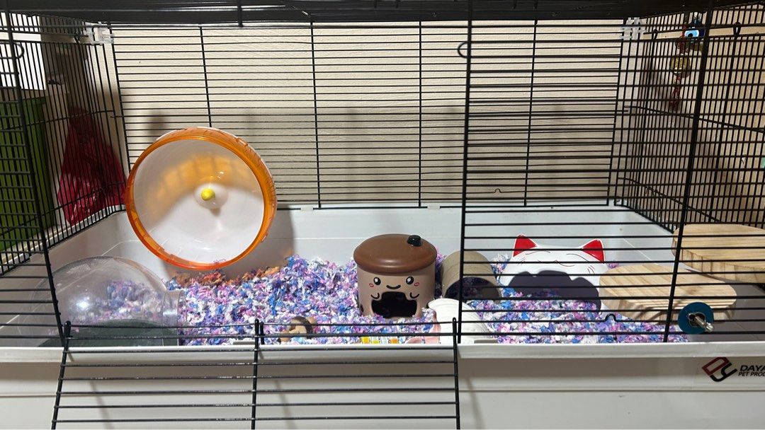 How big should a syrian hamster cage be outlet
