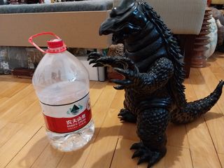 （分類：）位於 。 由 ngautaukok23321 提交（商品編號 1307089994，圖片 1）。簡介： 。