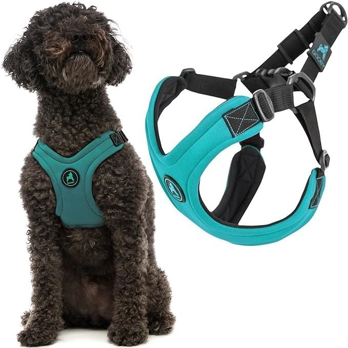 Gooby sport harness online