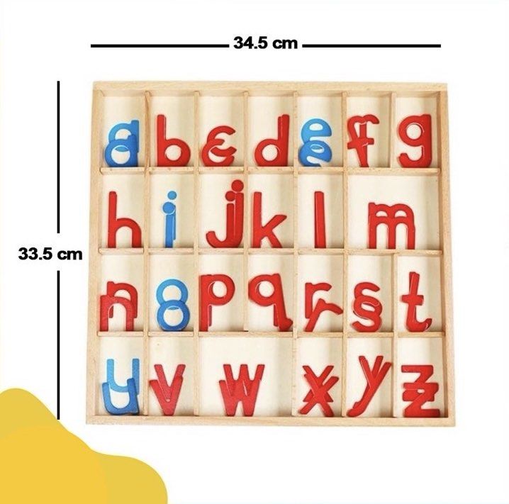 Montessori Movable Alphabet with Large Mat, Hobbies & Toys, Toys ...