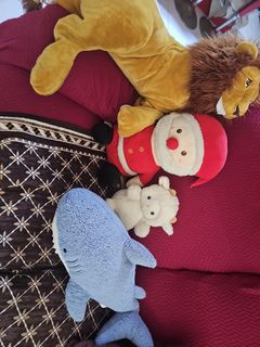 (Category: ) located in . Submitted by minal.kamble (Listing ID 1307109528, Image 1). Description: .