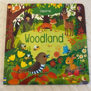 Woodland by Usborne (not the sound book version)