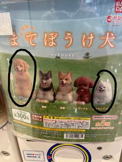 （分類：）位於 。 由 6969805 提交（商品編號 1307308325，圖片 1）。簡介： 。
