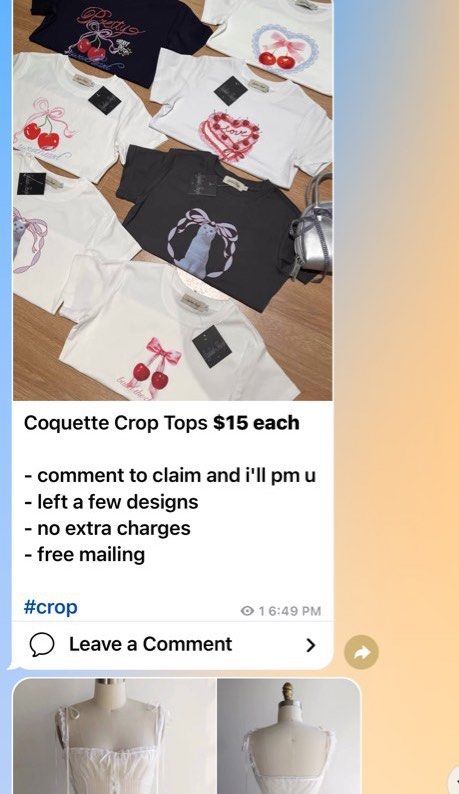Cheap Cute Aesthetic Clothing Tele Women s Fashion Tops Other Tops on Carousell