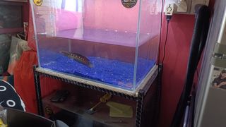(Category: ) located in . Submitted by shasha.harith (Listing ID 1307301572, Image 1). Description: .