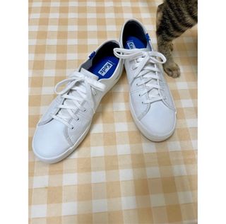 由 jolly.store (刊登 ID 1307291993，圖片 1) 提交，位於 的 (類別：)，說明：。