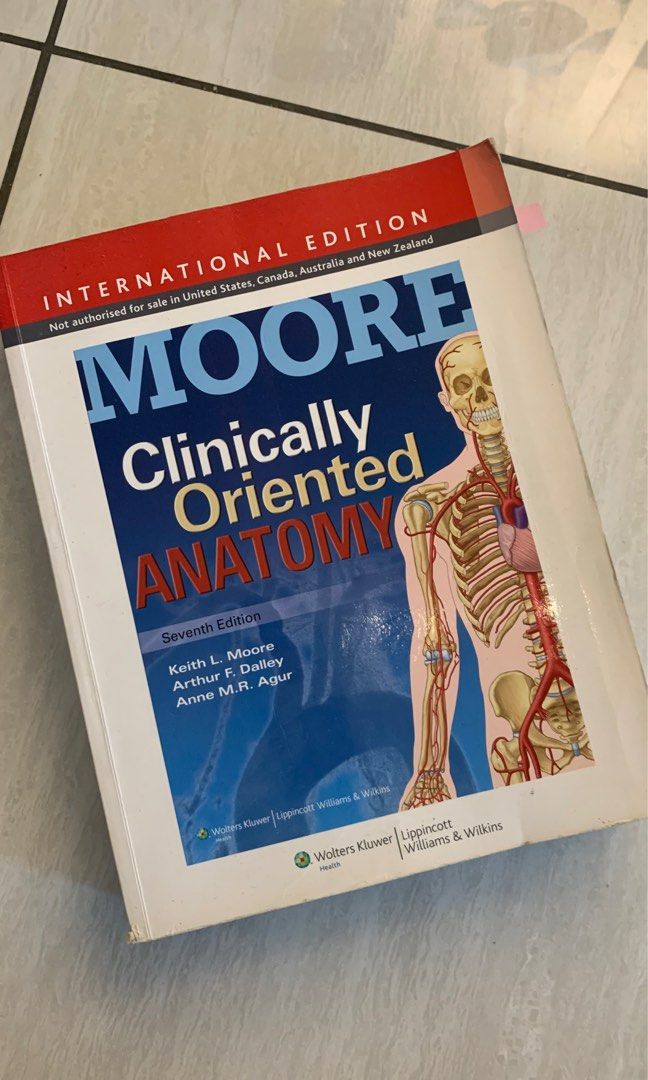 Moore Clinically Oriented Anatomy 7e, Hobbies & Toys, Books & Magazines ...