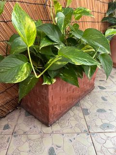（分類：）位於 。 由 nevla29 提交（商品編號 1307317232，圖片 1）。簡介： 。