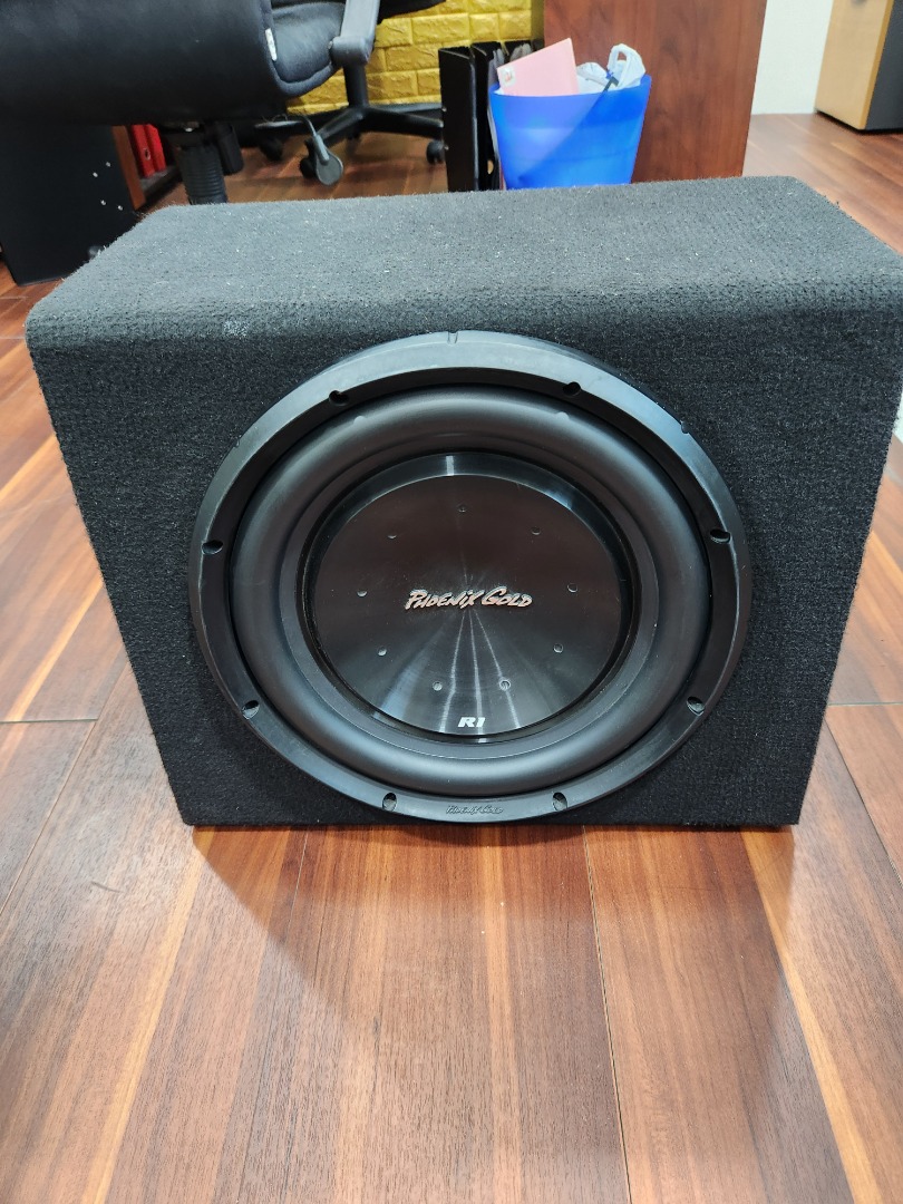 Phoenix Gold R1-12inch Woofer 12 Inch 200W Dual Ohm Subwoofer