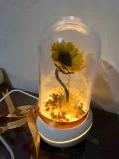 Preserved Flower Lamp
