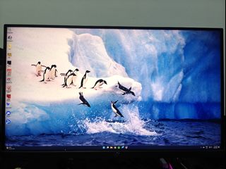 (Category: ) located in . Submitted by nickquek (Listing ID 1307563111, Image 1). Description: .
