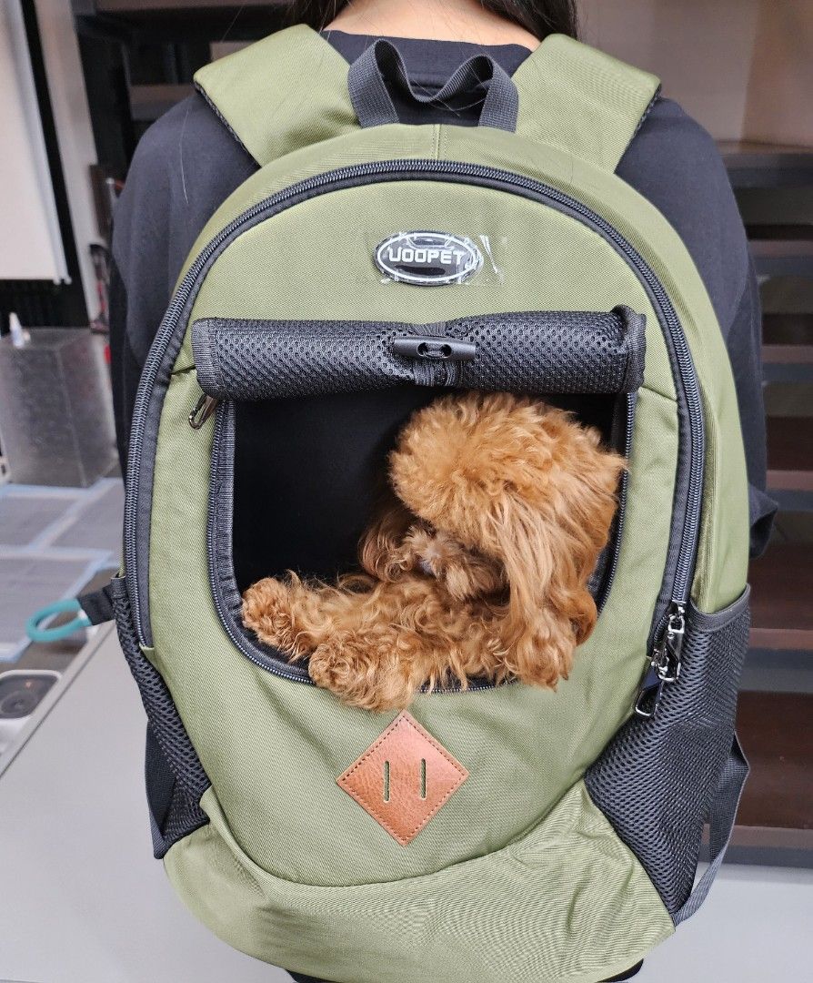 Dog or Cat backpack (Category: Homes & Other Pet Accessories) located in Makati City. Submitted by dshopph (Listing ID 1307490652, Image 2). Description: .