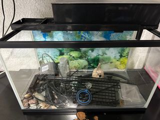 (Category: ) located in . Submitted by emmanuel06 (Listing ID 1307514648, Image 1). Description: .