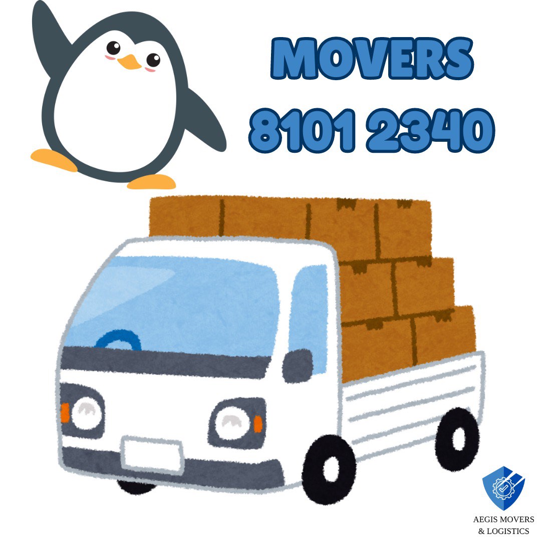 MOVER MOVERS AND DELIVERY MOVING SERVICE FURNITURE MOVER CHEAP