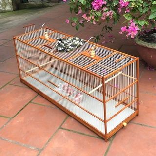 (Category: ) located in . Submitted by onlyqmall.sg (Listing ID 1307408066, Image 1). Description: .
