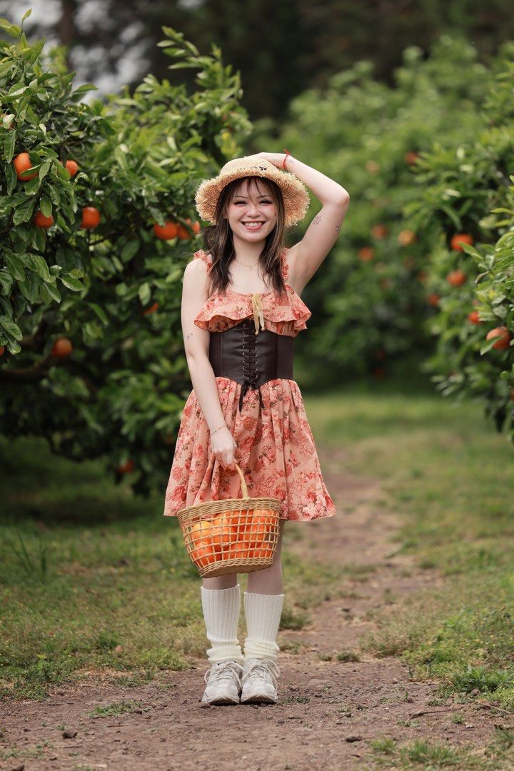 Liz lisa floral dress outlet
