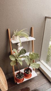 (Category: ) located in . Submitted by ganserene (Listing ID 1307453310, Image 1). Description: .