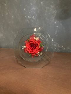 Rose in a Glass Home Decor